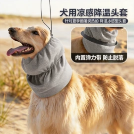 狗狗牵引;狗狗玩具;狗狗服装