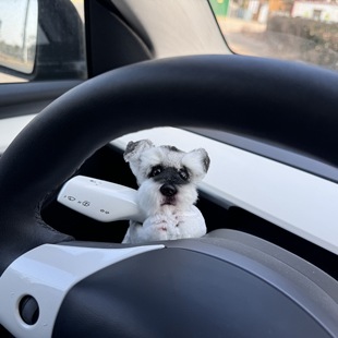 Simulated Plush Schnauzer Dog Car Fender Decoration Car Wiper Turn Signal Decoration New Car Gift