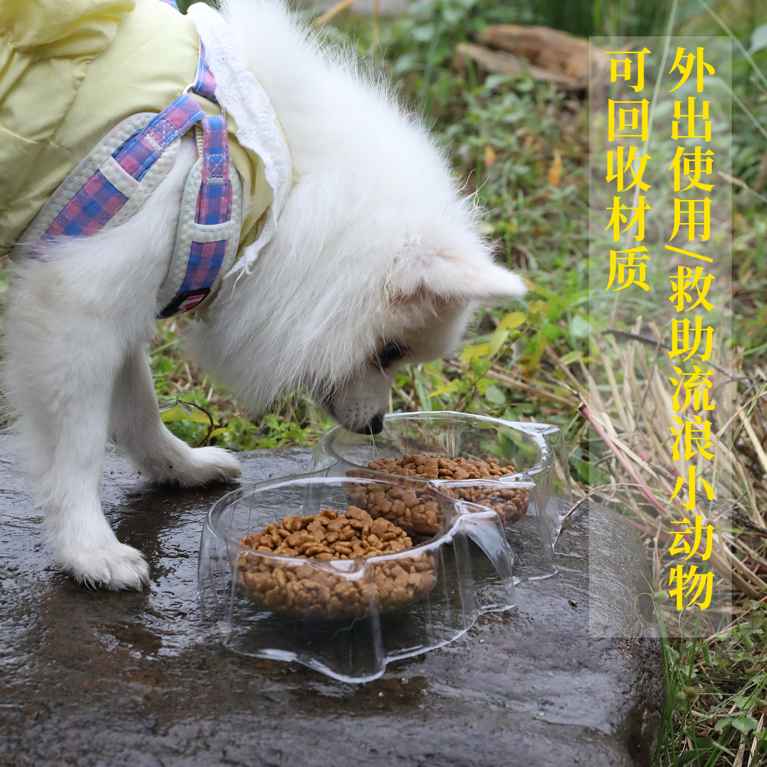 Tazón para perros PET cara de gato perezoso desechable anti-hormiga Tazón individual Tazón de comida para gatos Alimentación conveniente Agua Tazón doble Tazón para gatos