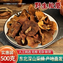 东北松蘑菇野生松蘑新鲜松树蘑菇干货粘团子松树菇松蛾子山珍蒙按
