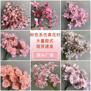 ��ɫϵ���ķ��潁�����Ż�·�������T����Y�õ�픻���c�bٻ�