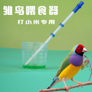 �����B�߲����B���B����ιʳ��������ȸιС�����Bbb������
