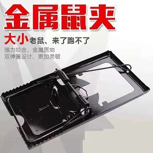 ����A����\�����F���p�ɏ����岶�����������Aץ�����ԄӼ���
