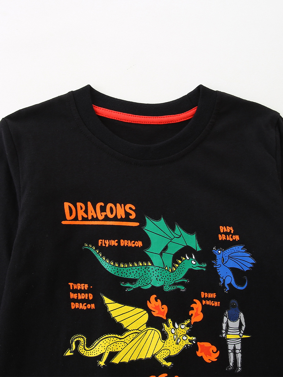 26 nuevas camisetas infantiles de otoño, camisetas de manga larga para niños con estampado de dinosaurios de estilo europeo y americano, camisetas de algodón para niños pequeños. image 5