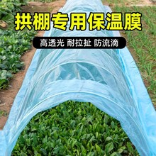小拱棚膜塑料薄膜膜农用大棚内膜防寒防冻防霜保温保湿抗老化加厚