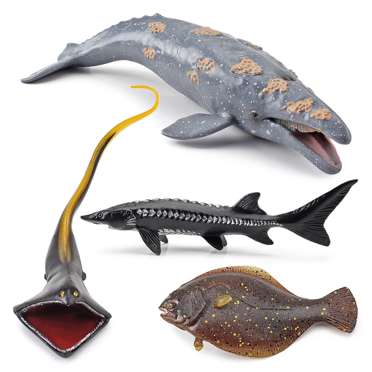 Transfronteriza exportación simulación animal marino ballena gris amplia golondrina angula platija esturión modelo decoración cognitiva juguete