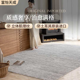 土耳其客厅地毯高级灰威尔顿机织家用客厅无胶地毯耐脏易打理