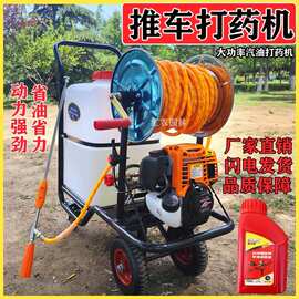 手推式高压打药机大功率消毒喷雾器四冲程手拉式电启动汽油机进口