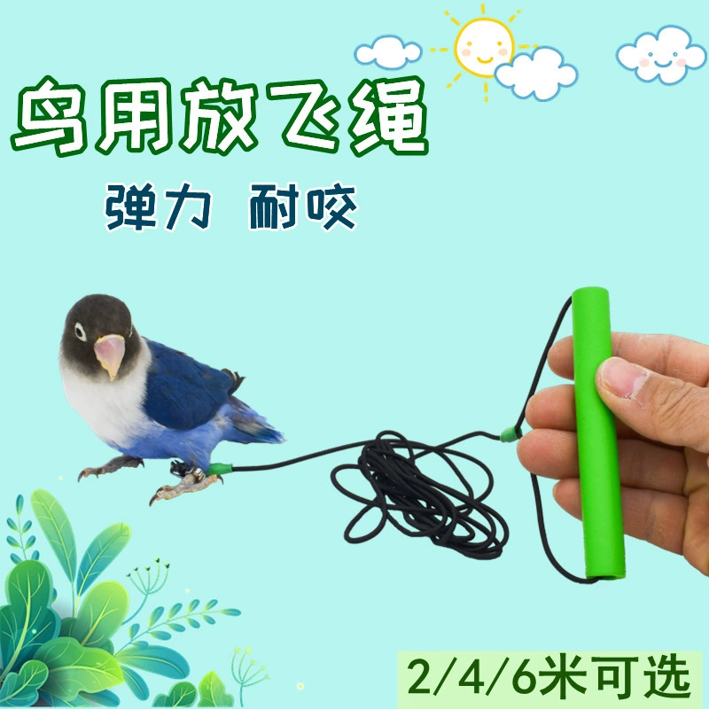 Птица-попугая летающая веревка