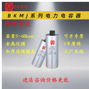 Self-Healing Low-Voltage Parallel Capacitor (Self-Healing) Bkmj (Round) 250V