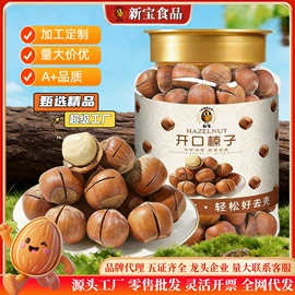 瓜子;豆类零食;夏威夷果