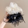 Big advanced crab pin, hairgrip, black shark, curlers, hair accessory, internet celebrity, high-quality style, wholesale