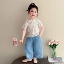 Ůͯ�黨�����I����T��2026�ļ��¿�Ů�����nϵ�������b�ٴ�����