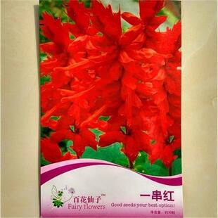 �ﲥͥԺ�׻�N��һ���t�N�ӻ��ܰ������t�����ļ��׷N�ͺ�����