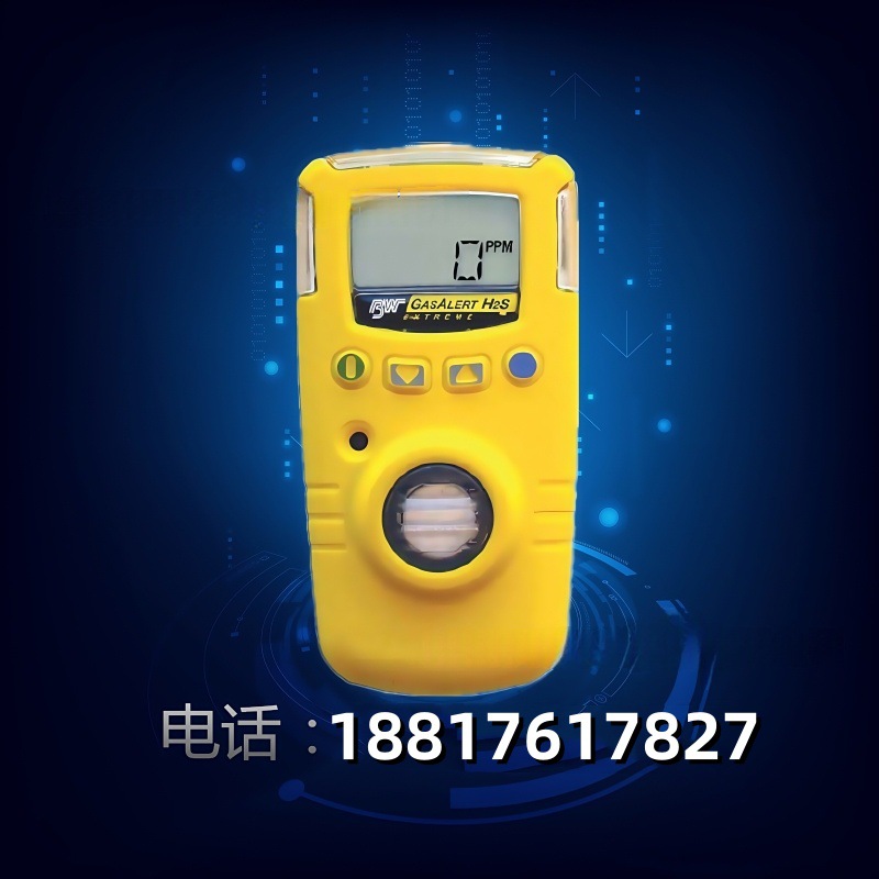 加拿大BW GAXT-H硫化氢气体检测仪 便携式H2S气体测量仪