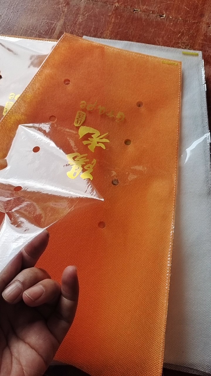 包装袋 葡萄包装袋 梯形无纺布包装袋