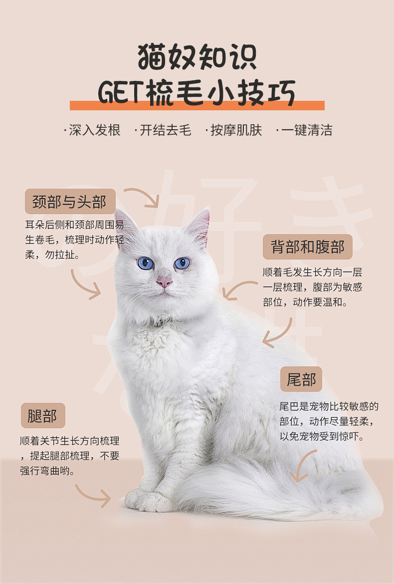 宠物详情-1_06