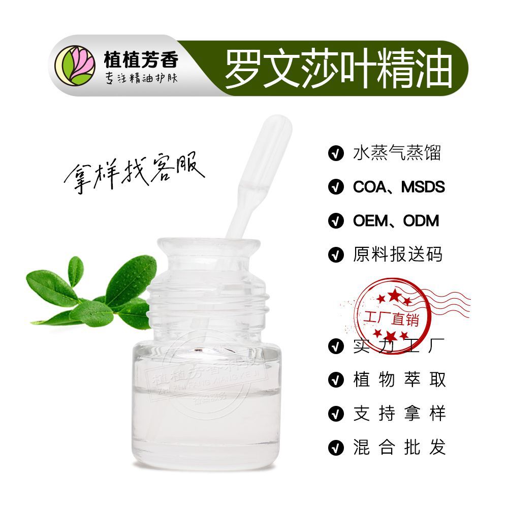 罗文莎叶精油 蒸馏提取桉油樟 Ravintsara oil现货单方油厂家批发