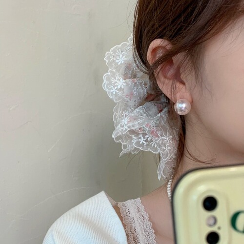 Shi Family Pearl Earrings 2024 New High-End Earrings 925 Silver Needle Earrings for Women, Light Luxury and Elegant Earring Clips