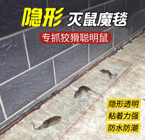 Household transparent mouse-killing magic blanket sticky mouse blanket powerful mouse-catching stickers household mouse-catching blanket extra large 1.2mX28cm