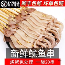 鱿鱼串铁板批发烧烤鲜冻头海鲜冷冻片顺丰厂家批发一件代发跨境