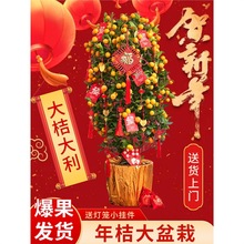 ��ۘ����Կ�ʳ�Î��������������ļ��辰ͥԺ�҃ȷNֲ���Ƥ���