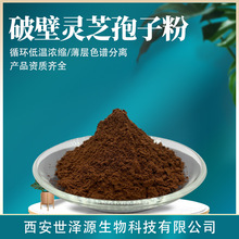 养生新宠——破壁灵芝孢子粉:解锁免疫力的密码