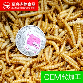 动物性饲料;仓鼠零食;观赏鱼饲料