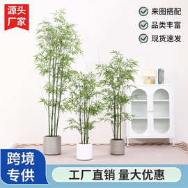 仿真绿植竹子盆栽仿生植物人造假竹子室内装饰园林造景摄影道具