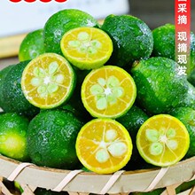 ����С���������5�����r�����r���������������̲�ꌣ��