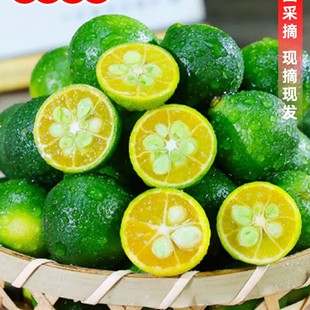 ����С���������5�����r�����r���������������̲�ꌣ��