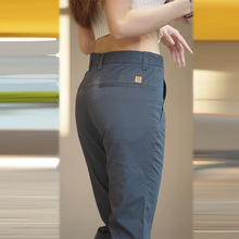 �߶����г���������ֱͲ2026�괺�������¿���޾ŷ�������ʿ