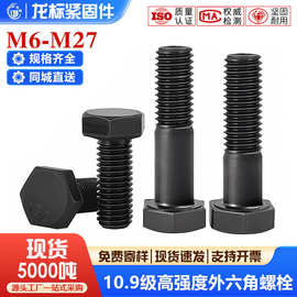 国标10.9级发黑高强度外六角螺栓六角头桥梁螺丝m8m16m20m24m30