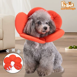 狗狗服装;宠物推车;狗狗牵引