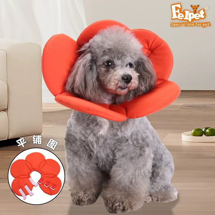 源头厂家伊丽莎白圈猫咪防舔加深可调节狗护圈绝育防抓咬宠物围脖