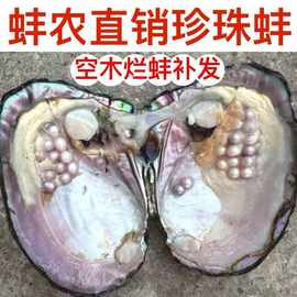 爱迪生多珠蚌批发诸暨河蚌养殖户珍珠蚌活蚌自己开淡水珍珠散珠