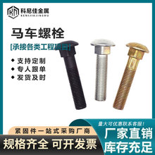 厂家直供 高强度马车螺丝 圆头方颈马车螺栓 马车栓 异型马车螺栓
