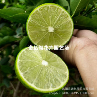 �V�|��ˮ���ʘ���o����������ˮ�����ļ��Y�����������̲�ꌣ��