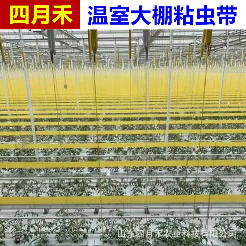 Трансграничная внешняя торговля Amazon новый теплица липкий червь с двухсторонней ловушкой