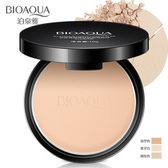 Pohquan Glamorous Transparent Concealer Moisturizing Setting Powder Contouring Foundation Makeup Wholesale Cosmetics