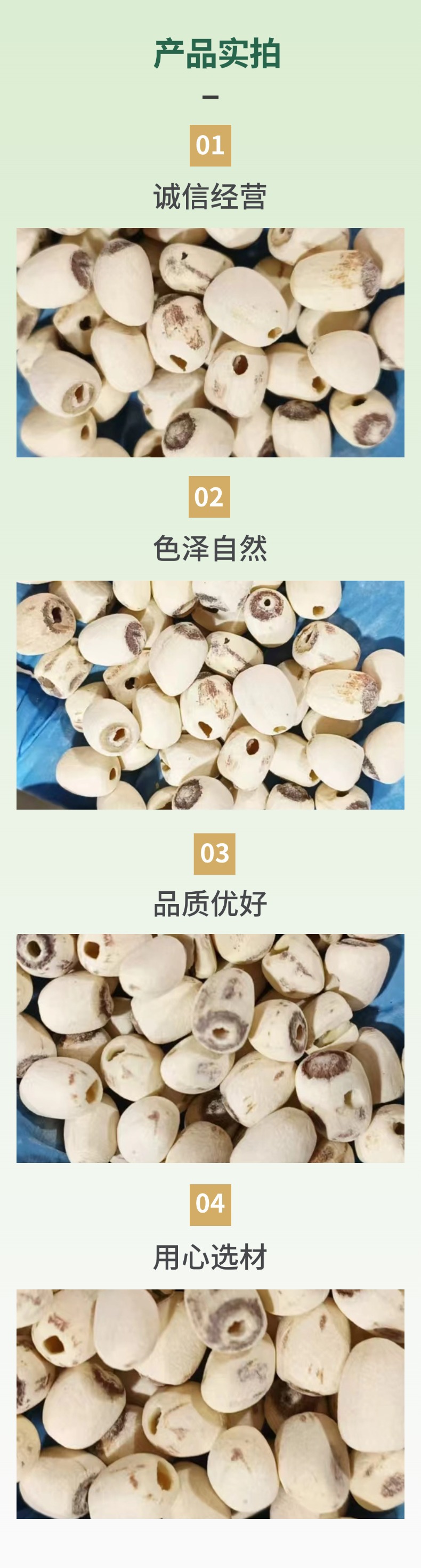 Dried Lotus Seeds Core Removed Small Hollow Milling Lotus Seeds Lian Zi for Soup and Congee specifications