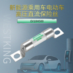 New energy vehicle high voltage DC fuse 500VDC fast blowing lithium battery air conditioning protection fuse