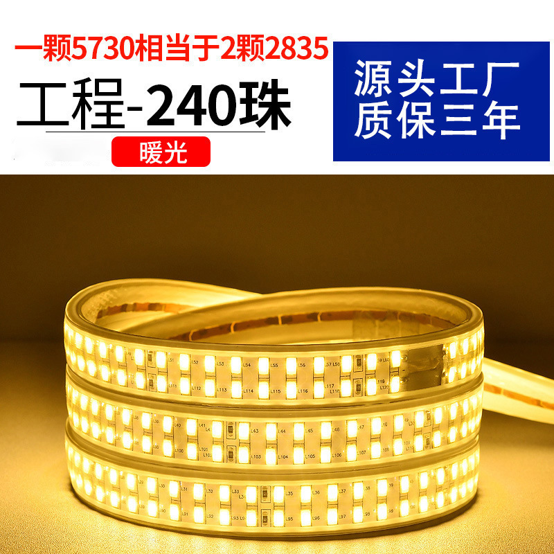 家用户外防水led灯带条超高亮白光灯带室外外墙工地隧道照明220V|undefined