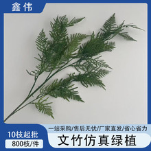 ǧ�ӽ�&middot;�J�S��&middot;���� | �߶˷��滨ˇ���x����Gֲ ����������Y