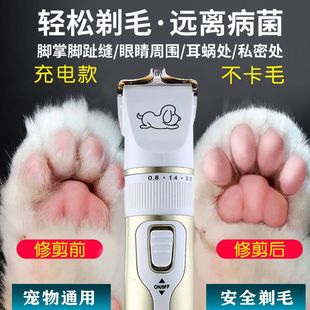 ������ë��������Ƽ�̩��؈���깷ë�C��ë������ë�����l���l