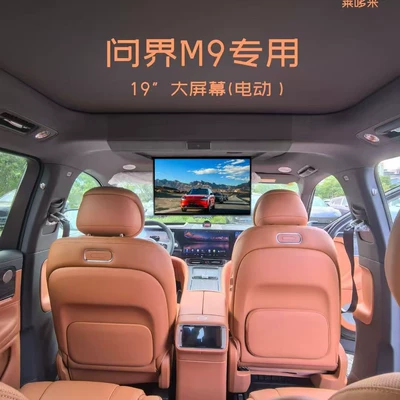 Ceiling-Mounted Tv Car TV