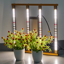 美久240W 320W植物灯太阳光植物照明全光谱led植物生长灯grow lig