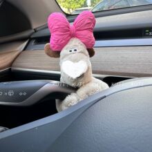 KDB058车载挂件掌门狗戴眼镜公仔怀挡玩偶娃娃厂家批发毛绒玩具