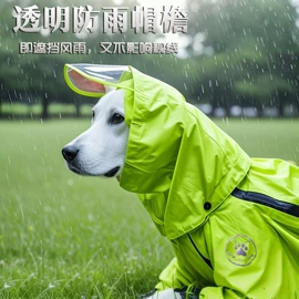 狗狗服装