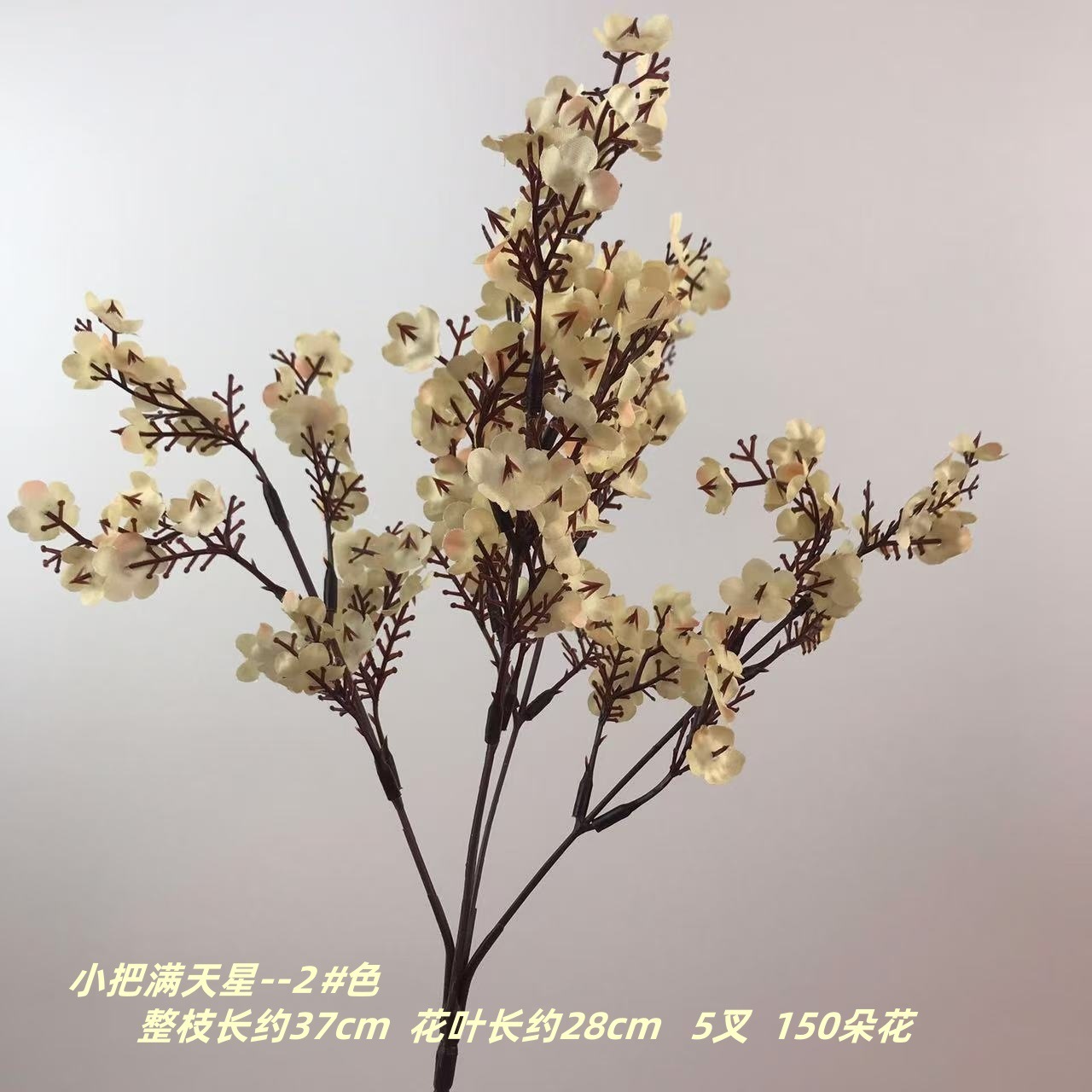 작은 안개꽃 2#색깔